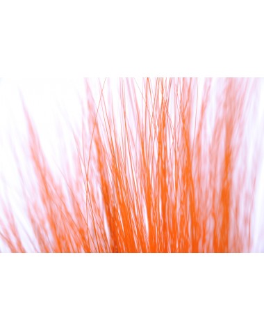 BUCKTAIL orange